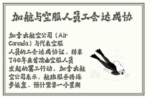 国产精品白浆无码流出视频网站